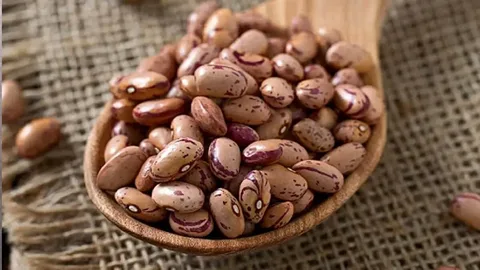 تصویر 3 از لوبیا چیتی کرمانشاه نگین غرب ایران